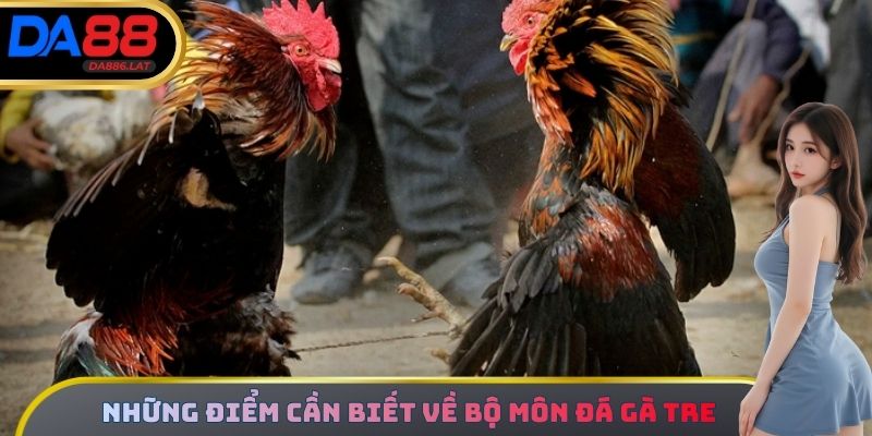 Những điểm cơ bản cần biết về bộ môn đá gà tre
