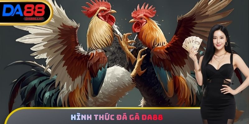 Hình thức Đá Gà DA88